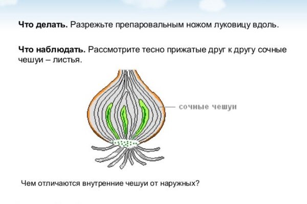 Гидра в даркнете