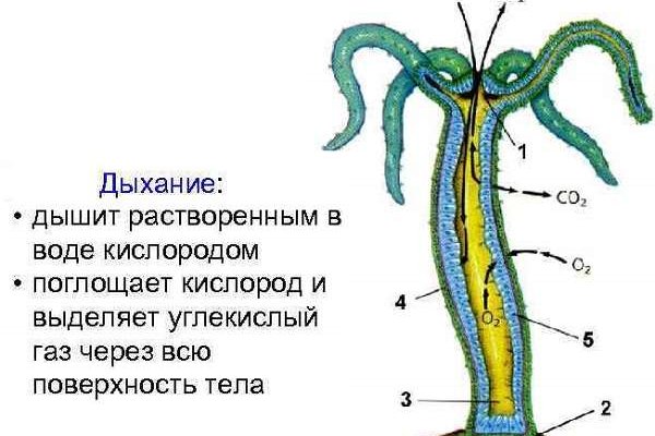 Восстановить аккаунт кракен