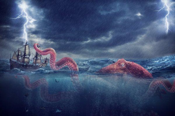 Kraken official